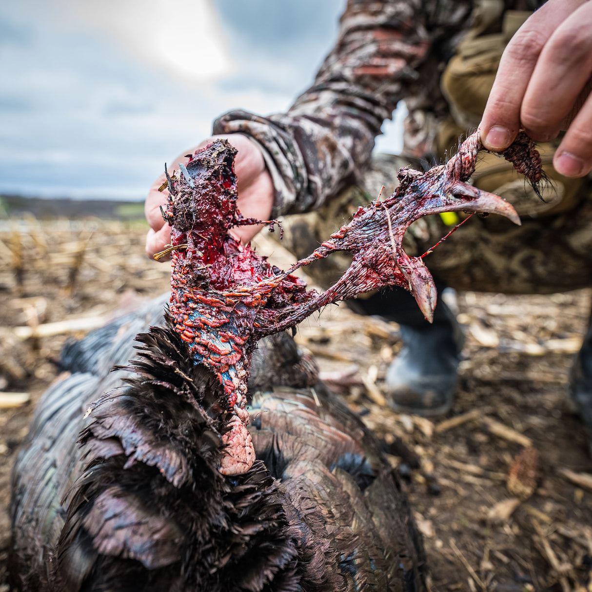 Turkey Decapper System